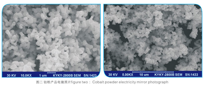 1640052290282691.jpg 內(nèi)頁02_03.jpg